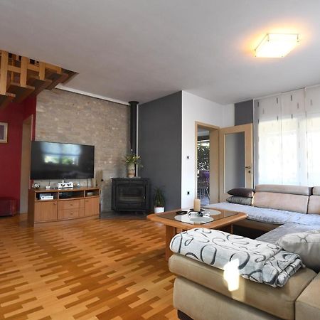 Villa Tinov Dvor Brisevo Kültér fotó