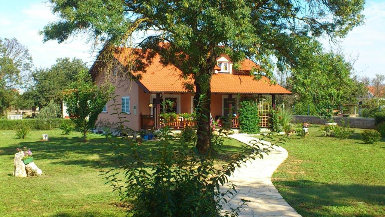 Villa Tinov Dvor Brisevo Kültér fotó