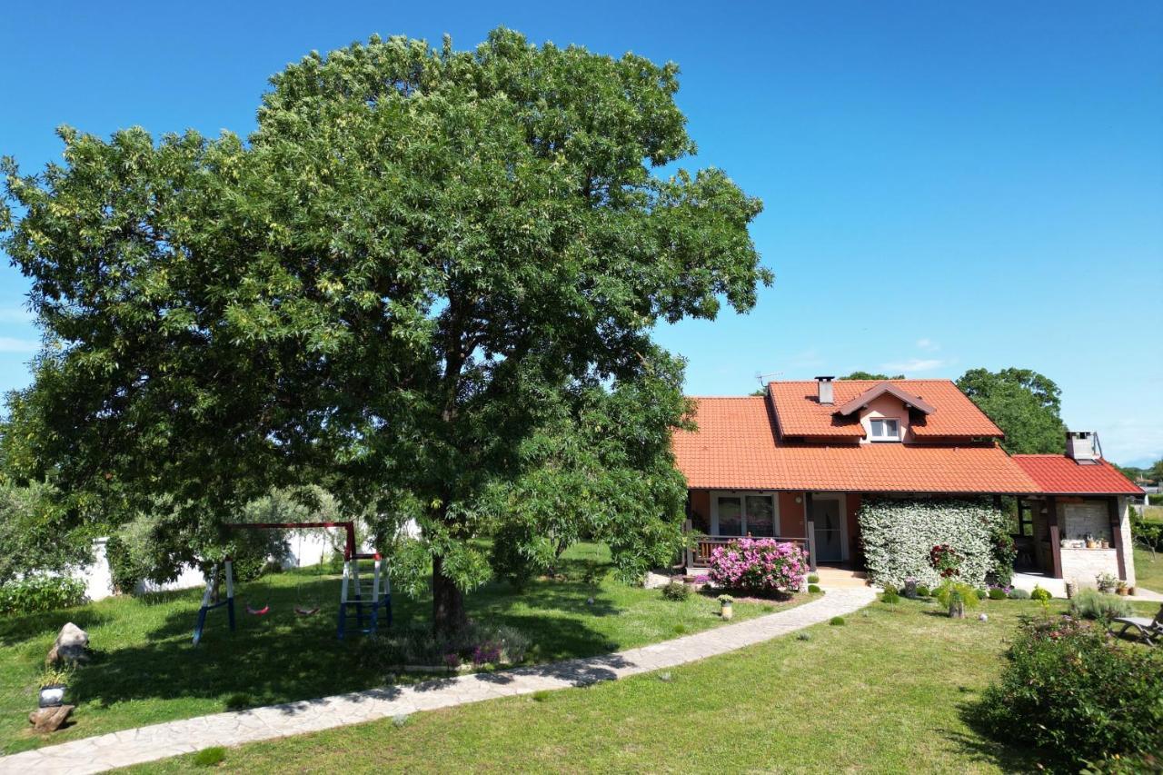 Villa Tinov Dvor Brisevo Kültér fotó